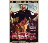 Le Fragole Hanno Bisogno Di Pioggia [Italia] [DVD]