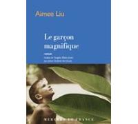 Le Garçon Magnifique (ebook)