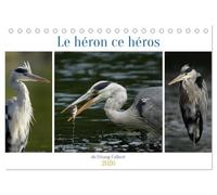 Le héron ce héros de l'étang Colbert (Calendrier de bureau 2026 DIN A5 vertical), CALVENDO calendrier mensuel: L'activité du héron cendré au bord d'un étang.