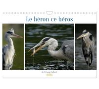 Le héron ce héros de l'étang Colbert (Calendrier mural 2026 DIN A4 vertical), CALVENDO calendrier mensuel: L'activité du héron cendré au bord d'un étang.