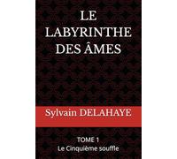 LE LABYRINTHE DES ÂMES