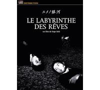 Le Labyrinthe des rêves [Francia] [DVD]