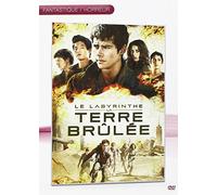 Le labyrinthe 2 : la terre brulée [Francia] [DVD]