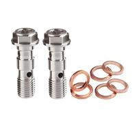 LE LEFOSSI Juego de 2 tornillos de purga Banjo, diseño de doble orificio para cilindro de freno y pinza de freno de motocicleta (M10 x 1,25 mm), universal para moto, scooter, ciclomotor, Dirt Pit Bike