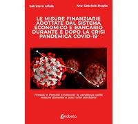 Le misure finanziarie adottate dal sistema economico e bancario durante e dopo la crisi pandemica covid-19. Prestiti e prestiti sindacati: le tendenze delle misure durante e post crisi sanitaria
