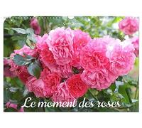 Le moment des roses (Calendrier mural 2026 DIN A3 vertical), CALVENDO calendrier mensuel: Les roses enchantent la vie