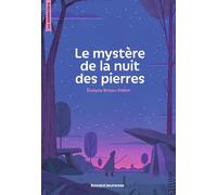 Le mystère de la nuit des pierres