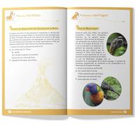 Le Nomade Kids Martinique