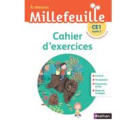 Le nouveau Millefeuille CE1: Cahier d'exercices