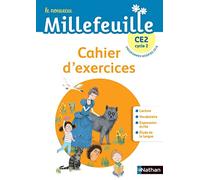 Le nouveau Millefeuille CE2: Cahier d'exercices