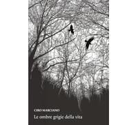 Le ombre grigie della vita (La community di ilmiolibro.it)