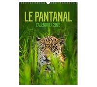 Le Pantanal (Calendrier mural 2026 DIN A3 horizontal), CALVENDO calendrier mensuel: Le Pantanal brésilien - un autre monde avec une faune incroyablement riche et colorée