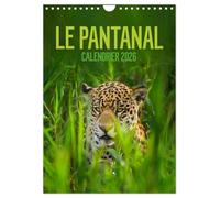 Le Pantanal (Calendrier mural 2026 DIN A4 horizontal), CALVENDO calendrier mensuel: Le Pantanal brésilien - un autre monde avec une faune incroyablement riche et colorée