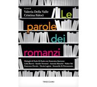 Le parole dei romanzi (Visioni)