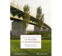 Le pecore e l'autostrada. Paesaggi contemporanei della Bassa bergamasca (Progetti Donzelli. Ritratti dell'Italia di mezzo)