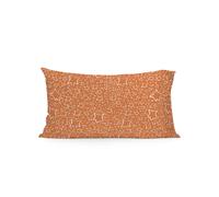 Le Petit Prince Funda almohada Migration. 50 x 75 cm