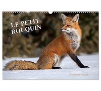 LE PETIT ROUQUIN (Calendrier mural 2026 DIN A3 vertical), CALVENDO calendrier mensuel: 13 photos de renards au fil des quatre saisons