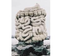 Le pied, le pull-over et le système digestif