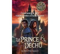 LE PRINCE DÉCHU: Chroniques des Territoires d’Aérouant - Tome 1