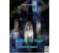 Le Prince Des Mages (ebook)