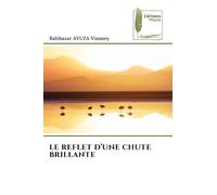 LE REFLET D’UNE CHUTE BRILLANTE