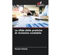 Le sfide delle pratiche di revisione contabile