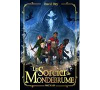 Le Sorcier De Mondebrume (ebook)