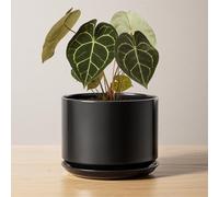 LE TAUCI Maceta de Cerámica de 17 cm con Plato y Agujero de Drenaje, Macetero Moderno para Plantas de Interior, Robusta y Duradera, Decoración para Hogar u Oficina, Negro