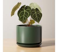 LE TAUCI Maceta de Cerámica de 17 cm con Plato y Agujero de Drenaje, Macetero Moderno para Plantas de Interior, Robusta y Duradera, Decoración para Hogar u Oficina, Verde