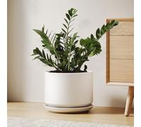 LE TAUCI Maceta de Cerámica de 25 cm con Plato Integrado y Agujero de Drenaje, Macetero Moderno y Minimalista para Plantas de Interior, Blanco