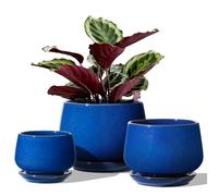 LE TAUCI Macetas, 10+12.5+16.5 cm Macetero, Juego de 3 Macetas de Cerámica con Agujero de Drenaje y Platillo, Macetas Decorativas Interior con Almohadilla de Malla, Regalos para Mamá, Azul Zafiro