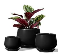 LE TAUCI Macetas, 10+13+16cm Macetero, Juego De 3 Macetas De Cerámica con Agujero De Drenaje Y Platillo, Macetas Decorativas Interior con Almohadilla De Malla, Regalos para Mamá, Negro