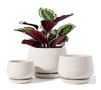 LE TAUCI Macetas, 10+13+16cm Macetero, Juego De 3 Macetas De Cerámica con Agujero De Drenaje Y Platillo, Macetas Decorativas Interior con Almohadilla De Malla, Regalos para Mamá, Beige