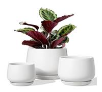 LE TAUCI Macetas, 10+13+16cm Macetero, Juego De 3 Macetas De Cerámica con Agujero De Drenaje Y Platillo, Macetas Decorativas Interior con Almohadilla De Malla, Regalos para Mamá, Blanco