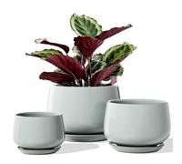 LE TAUCI Macetas, 10+13+16cm Macetero, Juego De 3 Macetas De Cerámica con Agujero De Drenaje Y Platillo, Macetas Decorativas Interior con Almohadilla De Malla, Regalos para Mamá, Azul Grisáceo