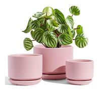 LE TAUCI Macetas de cerámica, 4.3 + 5.3 + 6.8 pulgadas, juego de 3, macetas con agujero de drenaje y platillo, maceta de interior con almohadilla de malla para agujeros, regalos para mamá, rosa