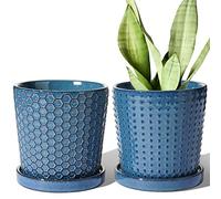 LE TAUCI Macetas de cerámica, macetas de 5.5 pulgadas para plantas de interior, macetas con orificio de drenaje y platillo, macetas para suculentas, plantas de serpiente y cactus, juego de 2, esmalte
