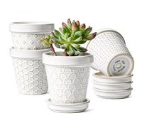 LE TAUCI Macetas de cerámica para suculentas, mini macetas de 3 pulgadas para plantas de interior, maceta pequeña en relieve con agujero de drenaje y platillo, decoración del hogar, juego de 4, blanco