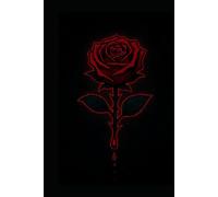 Le vampire de l'ombre Tome 2: Ascension sombre
