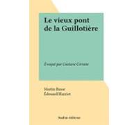 Le Vieux Pont De La Guillotière (ebook)