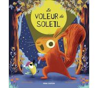 Le voleur de soleil