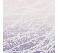 Lea Bertucci - Metal Aether / Resonant Field [Vinilo]