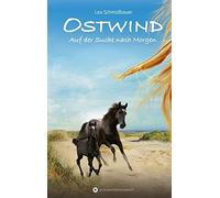 Lea Schmidbauer Ostwind - Auf der Suche nach Morgen (Tapa dura)
