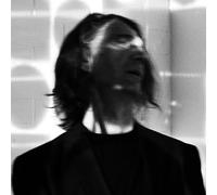 Lead Into Gold - Knife The Ally [Vinyl LP] [VINYL] [Vinilo]