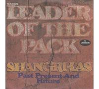 Leader Of the Pack/Past,Present And Future (7" Vinyl Single)(1971)(Mercury 6052079)