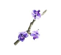 LEADSDGE Reptiles Decoración Terrarios Plantas Rama Escalada Rama Ventosa Acuarios Vid Artificial para Serpiente Barbudo Dragón Flexible Jungle Rattan Vid