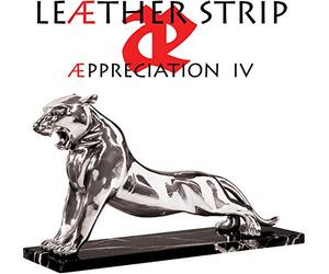 Leaether strip - preciation iv