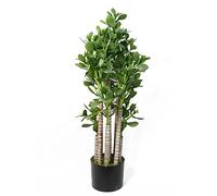 Leaf Árbol de bonsái Artificial, Planta de Jade Verde, 75 cm