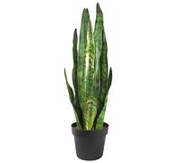 Leaf Design - Plantas Artificiales Tropicales, 70 cm Sansevieria Zeylanica