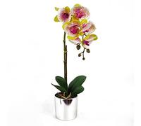 Leaf Design UK - Exhibición Realista de Flores Artificiales de orquídeas en Maceta